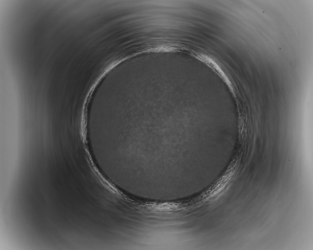 X0000096990851200802081426