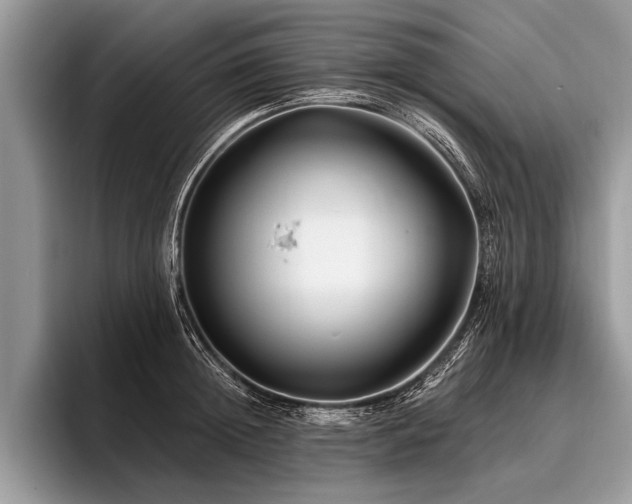 X0000096990852200802081426