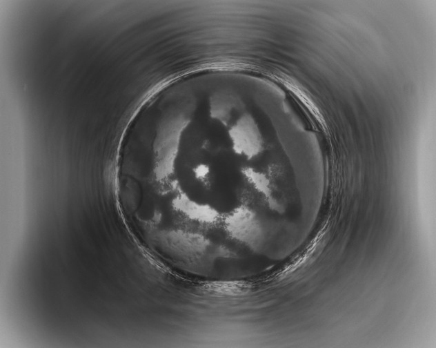 X0000096990853200802081426
