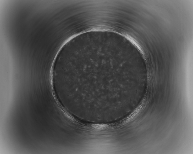 X0000096990854200802081426