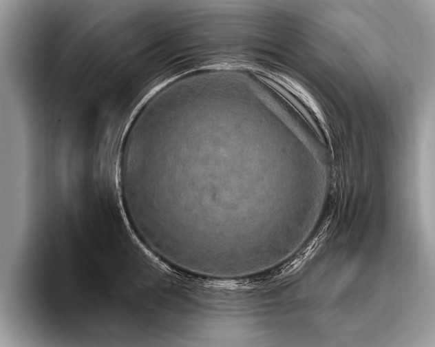 X0000096990855200802081426