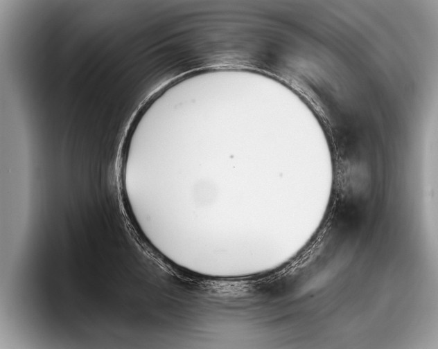 X0000096990856200802081426