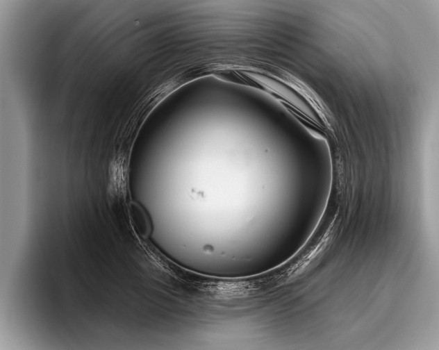 X0000096990857200802081426