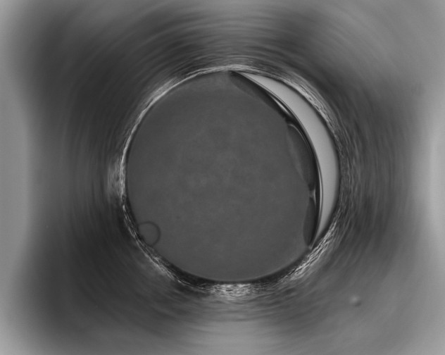 X0000096990858200802081426