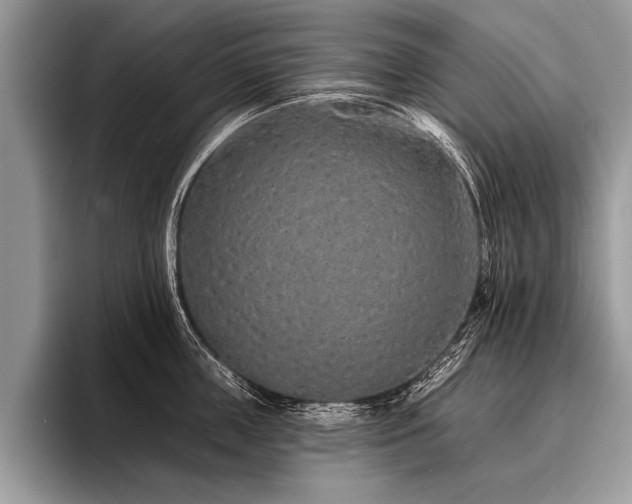 X0000096990859200802081426