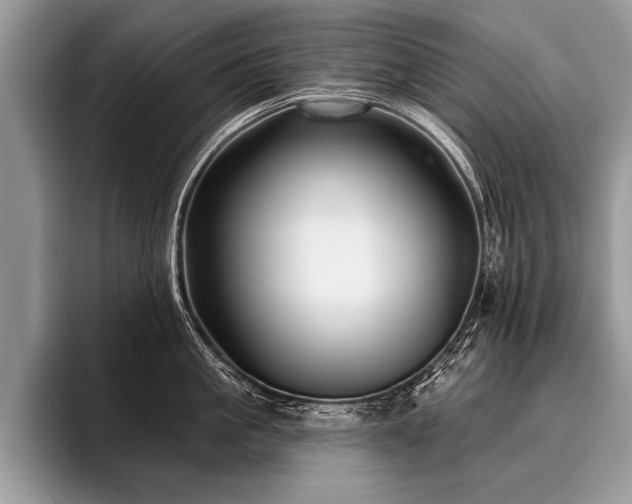 X0000096990861200802081426