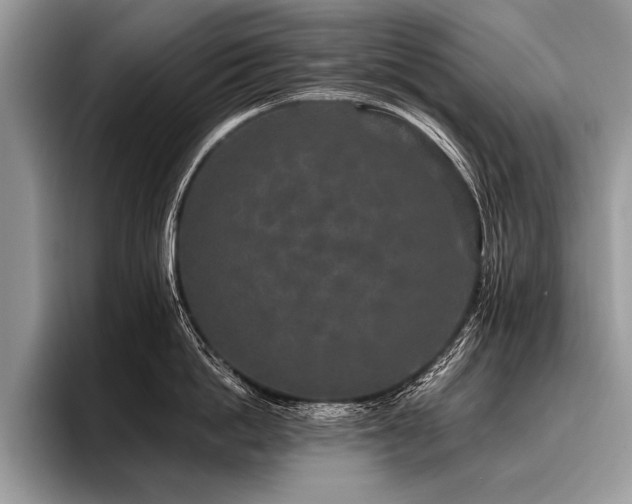 X0000096990862200802081426