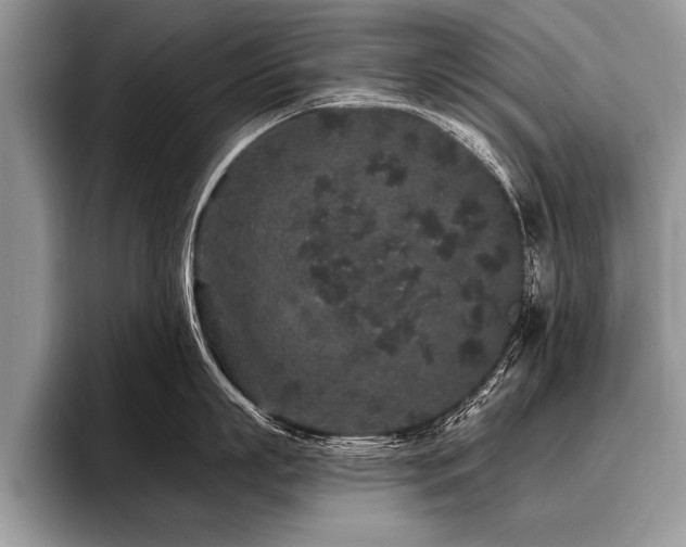 X0000096990863200802081426
