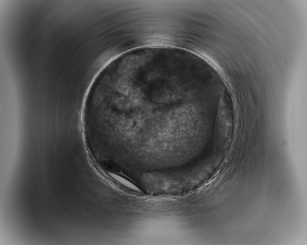 X0000096990864200802081426