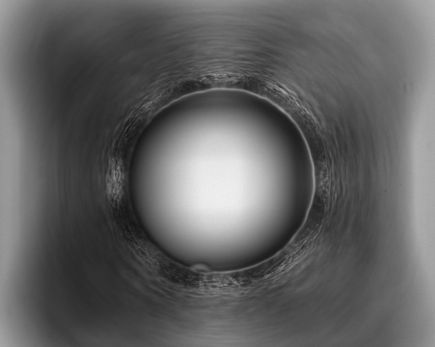 X0000096990866200802081426