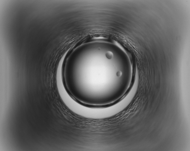 X0000096990868200802081426
