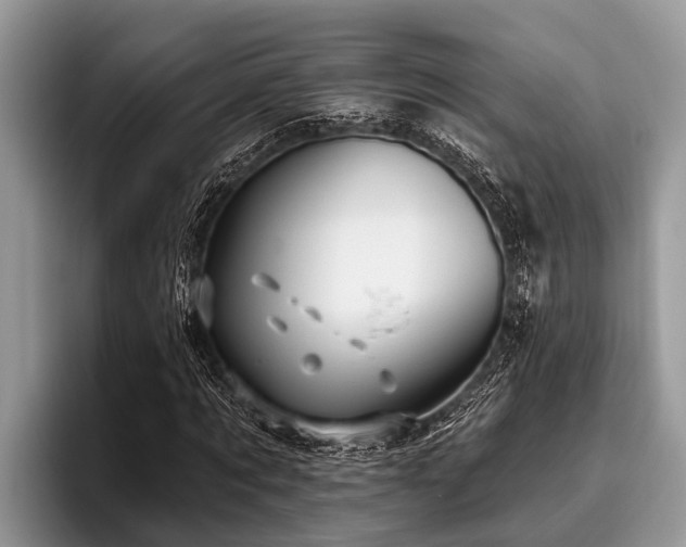 X0000096990869200802081426