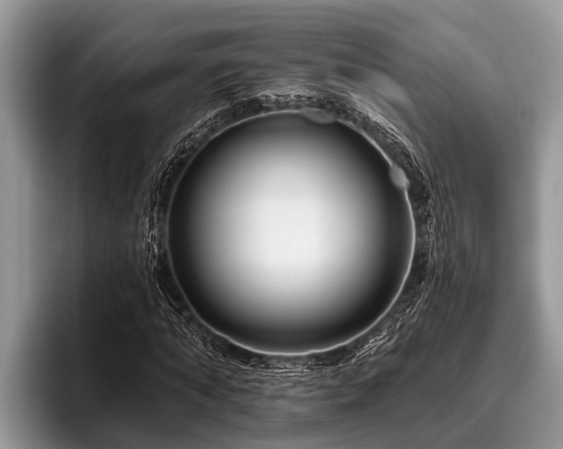 X0000096990870200802081426