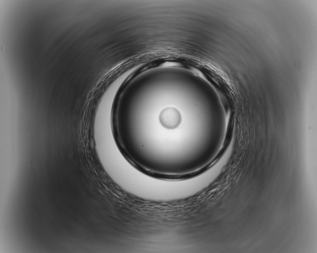 X0000096990872200802081426