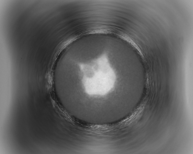 X0000096990874200802081426