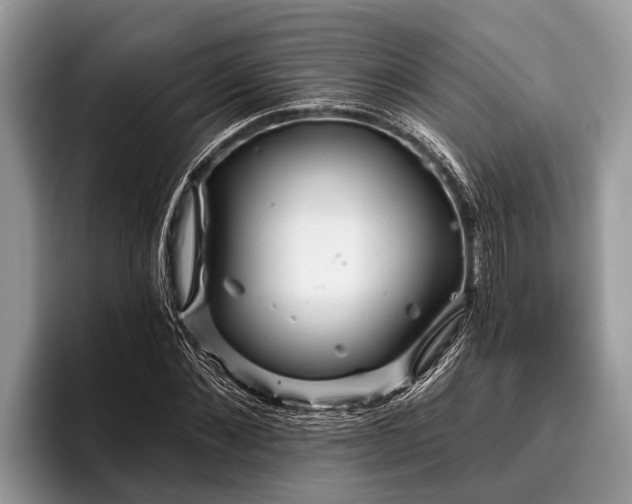 X0000096990876200802081426