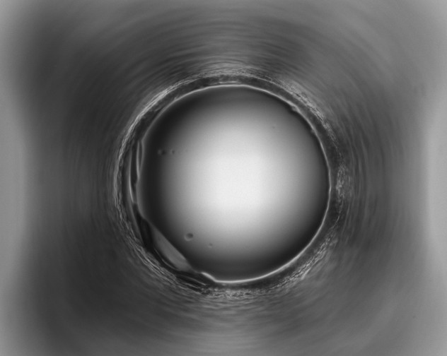 X0000096990877200802081425