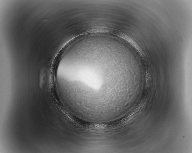 X0000096990878200802081425