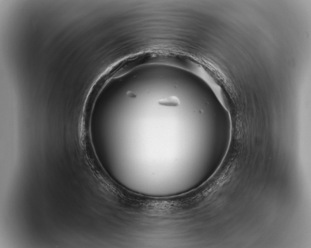 X0000096990880200802081425