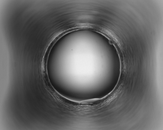 X0000096990883200802081425
