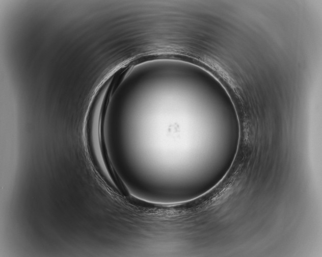 X0000096990885200802081425