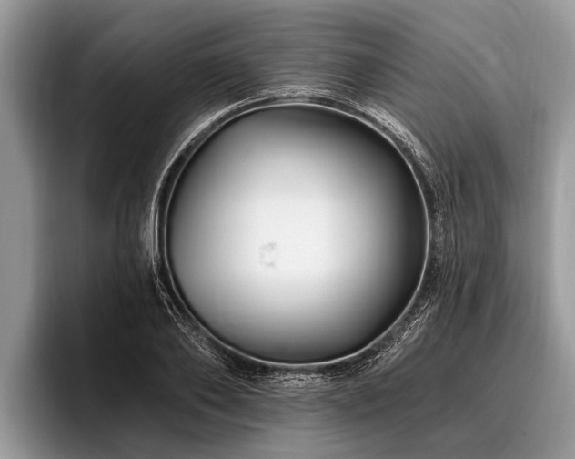 X0000096990886200802081425
