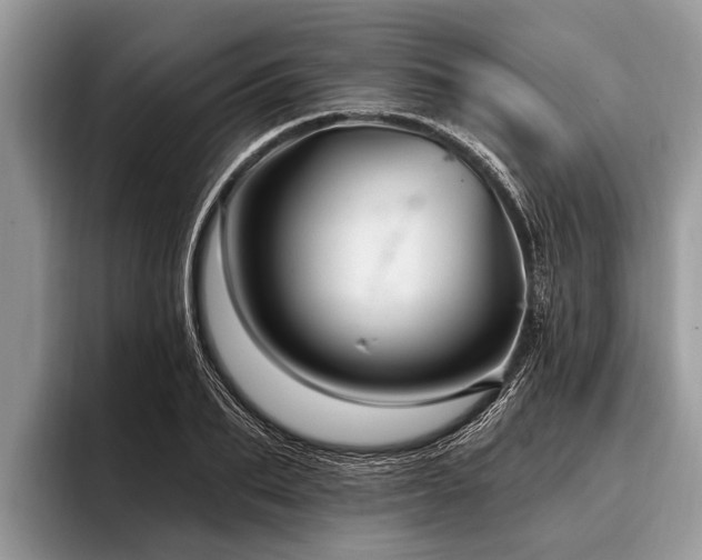 X0000096990887200802081425