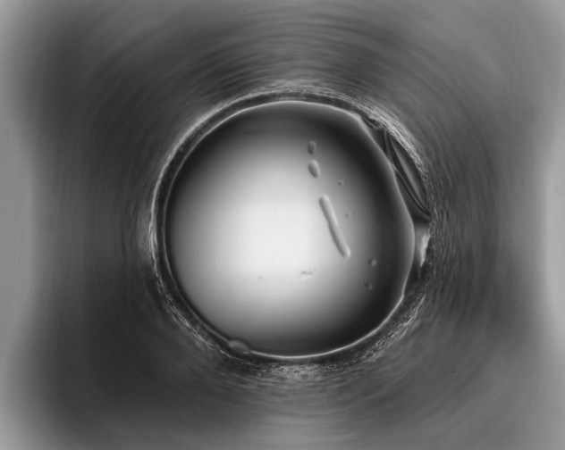 X0000096990888200802081425