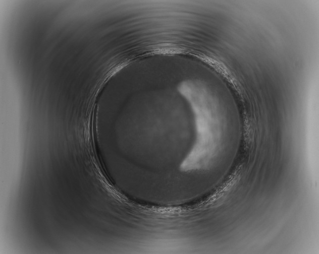 X0000096990889200802081425