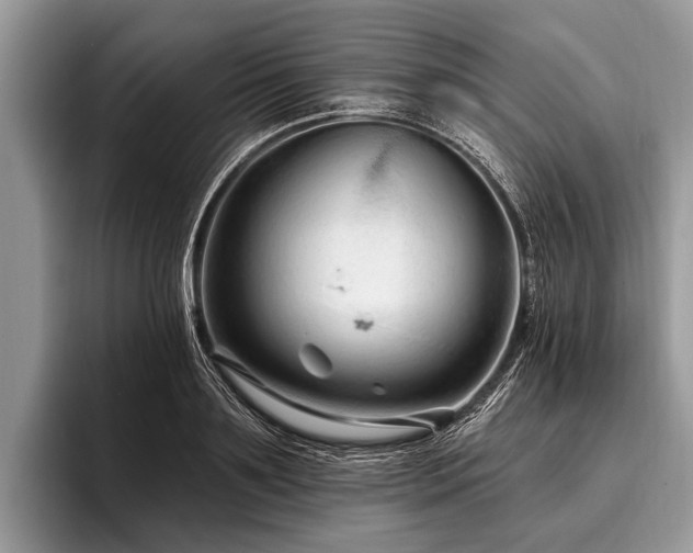 X0000096990891200802081425