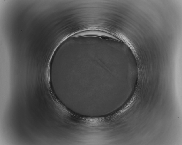 X0000096990892200802081425