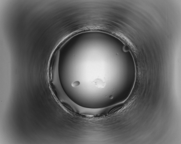 X0000096990894200802081425