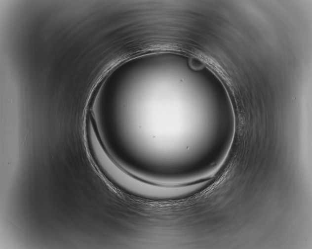 X0000096990898200802081425