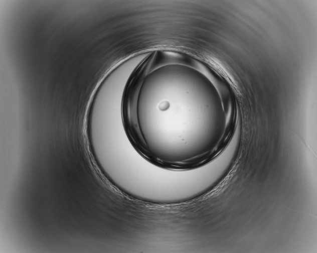 X0000096990900200802081425