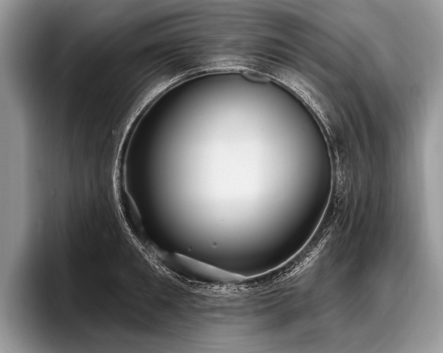 X0000096990901200802081425