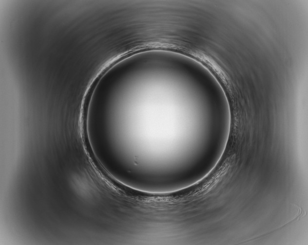 X0000096990902200802081425