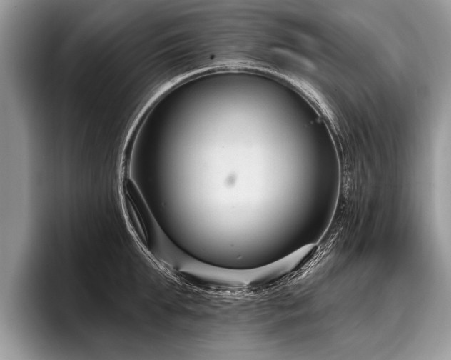 X0000096990903200802081425