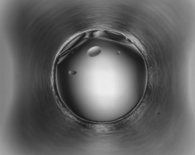 X0000096990904200802081425
