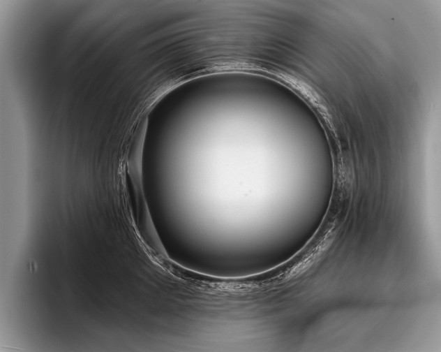 X0000096990905200802081425
