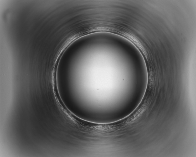 X0000096990906200802081425