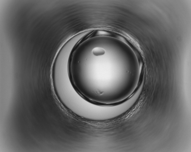 X0000096990907200802081425