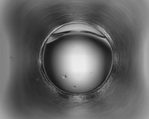 X0000096990908200802081425