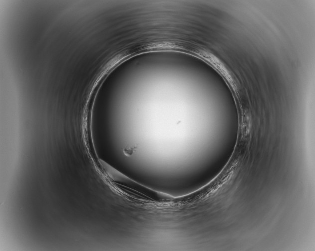 X0000096990909200802081425