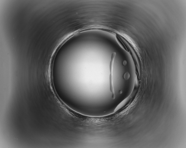 X0000096990910200802081425