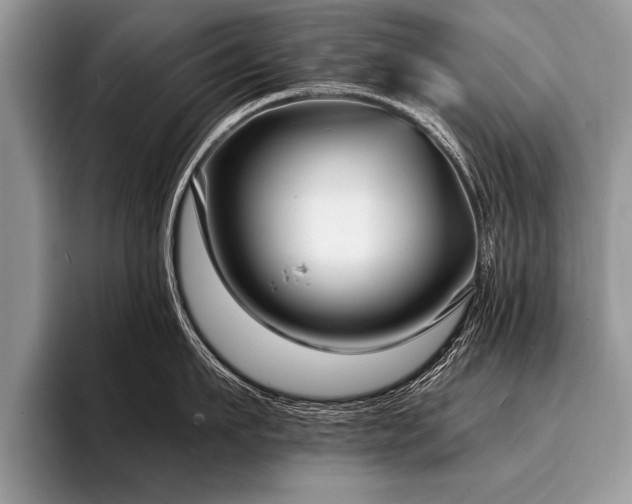 X0000096990911200802081425