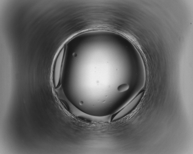 X0000096990912200802081425