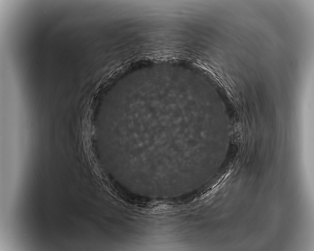 X0000096990913200802081424