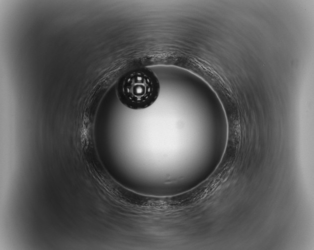 X0000096990914200802081424