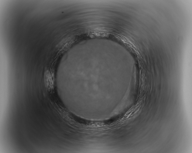 X0000096990915200802081424