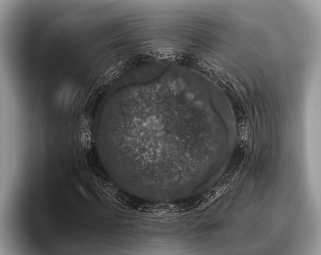 X0000096990916200802081424